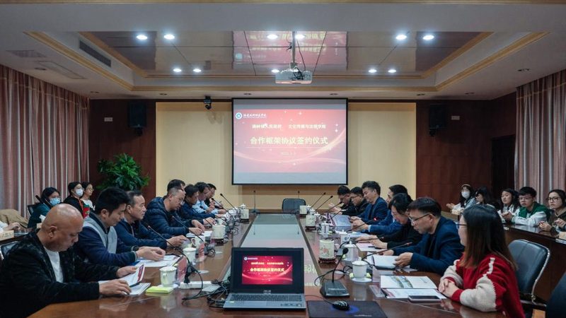 活动策划与执行：职责分明，策略各异